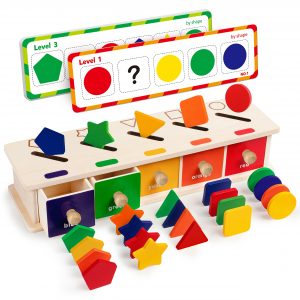 10-Hole Color & Shape Classification Box